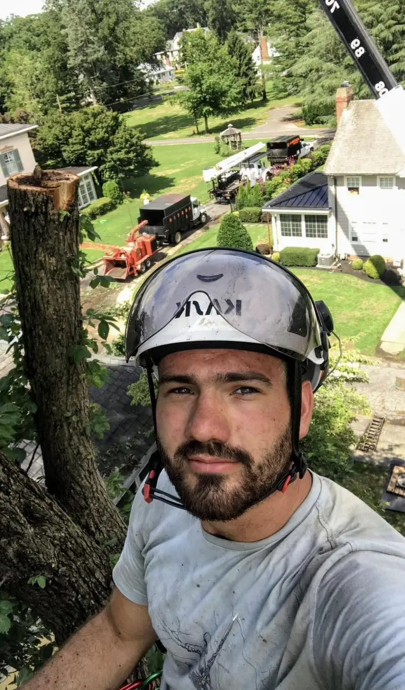 Bryan's selfie from high in a tree in his KASK helmet, the chip truck, chipper and a neighborhood street far below.