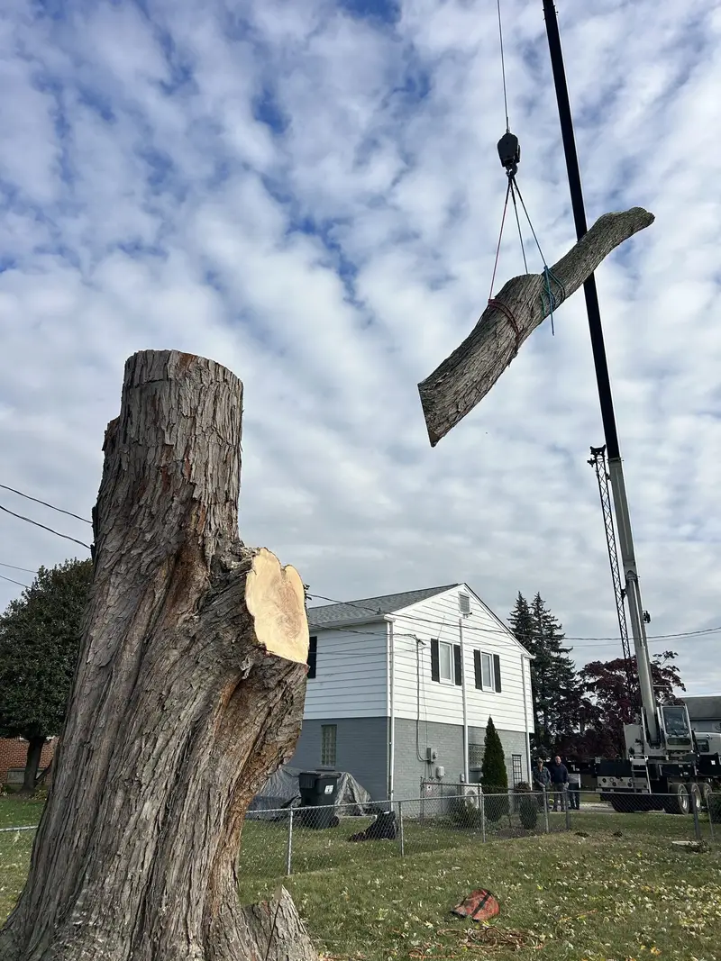 A tied-off limb hanging from the crane line above a tall stump in a fenced backyard, neighbors watching from the drive.