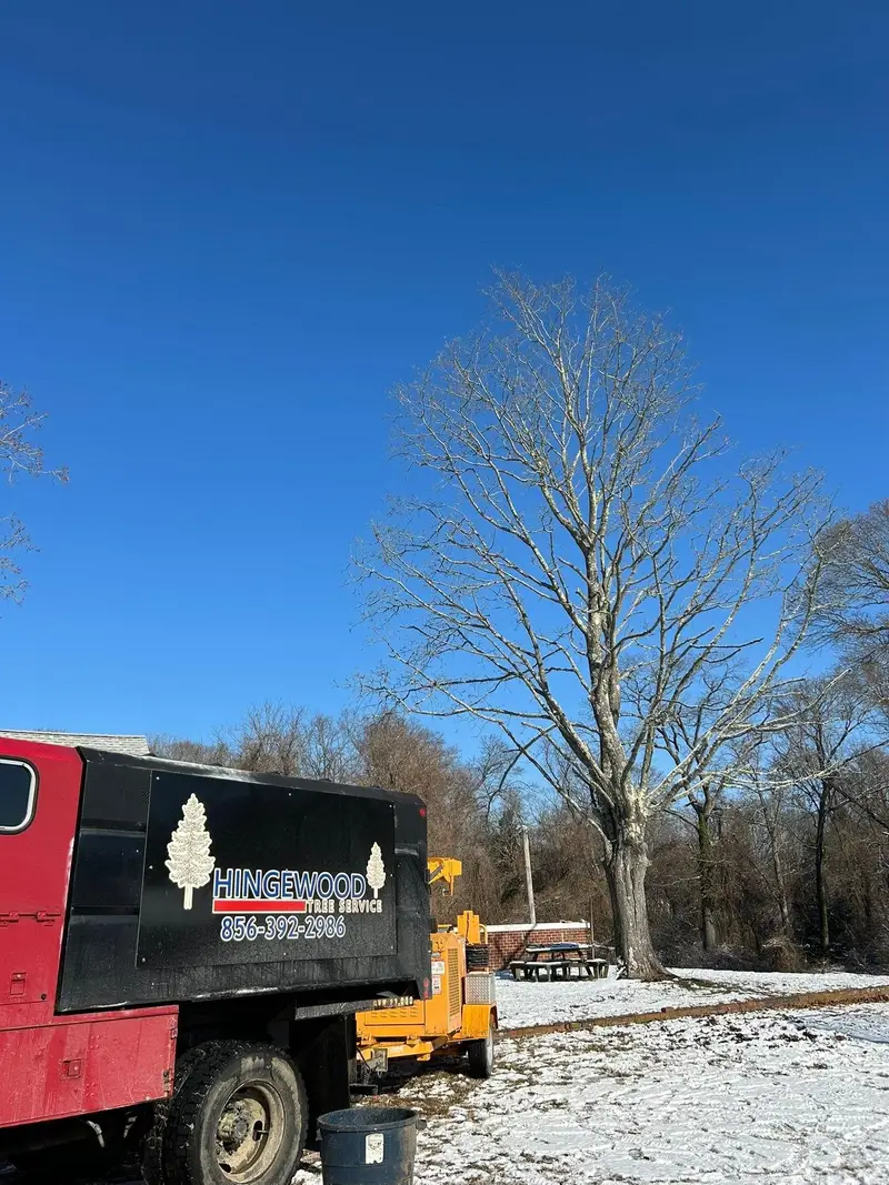 The red Hingewood chip truck, lettered with the logo and phone number, parked by a bare tree on a snowy lot.