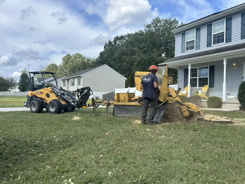 A Hingewood crew member running a stump grinder in a front yard, a compact loader parked behind.